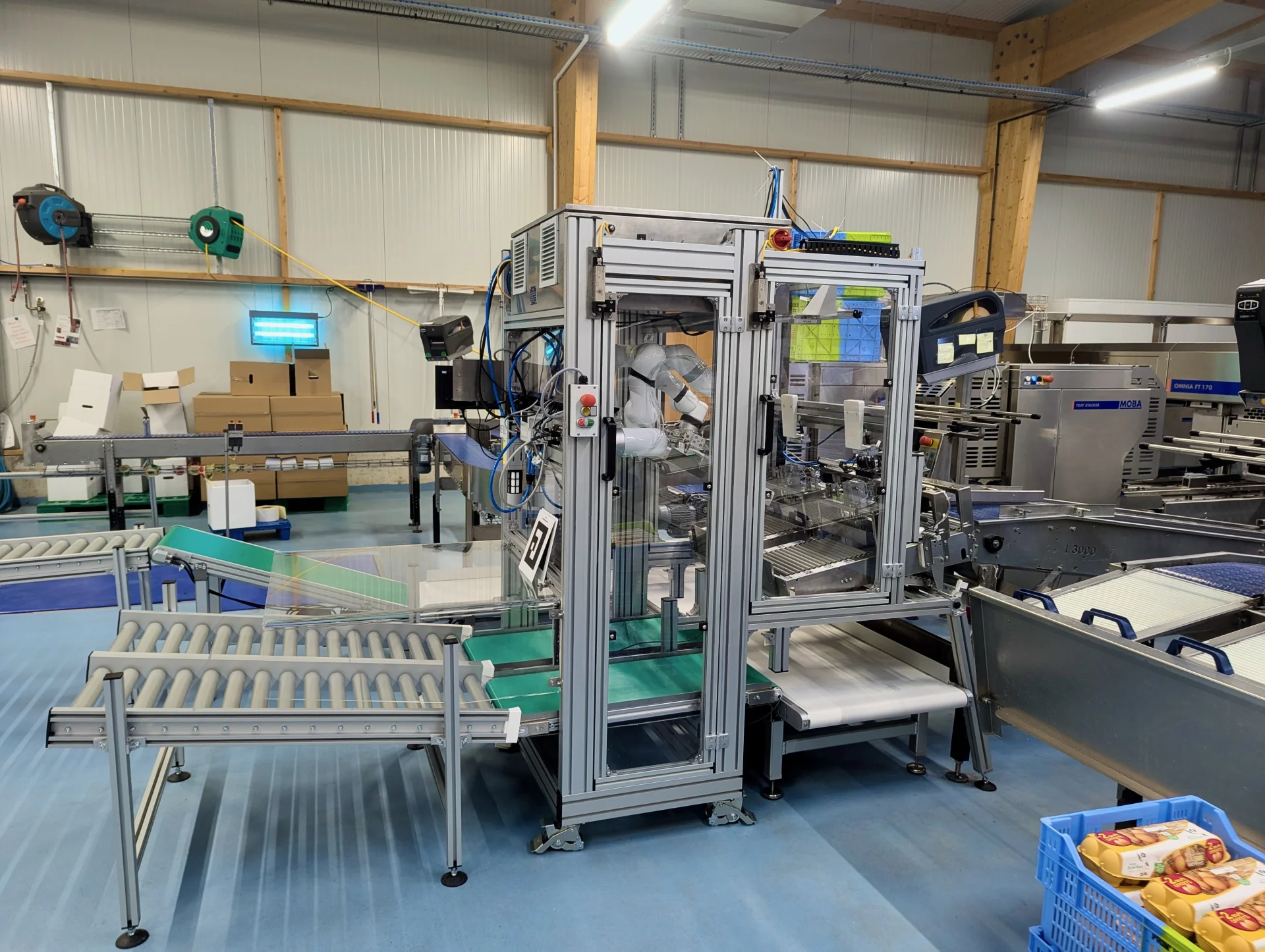 A case packer installed inline at the end of an egg grader.