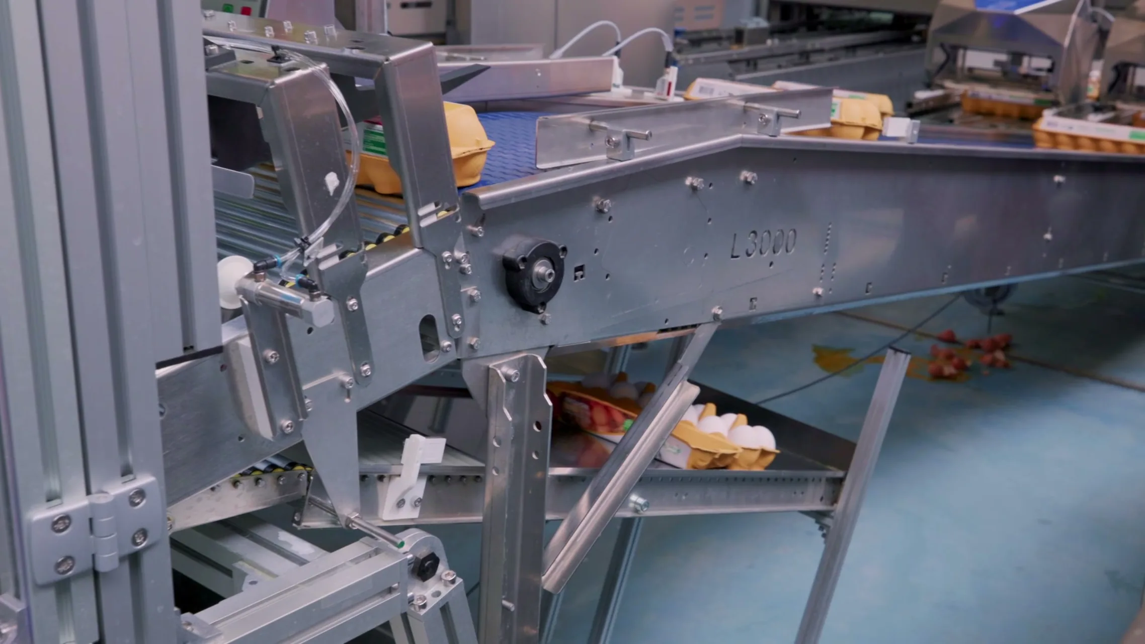Industrial food case packer that can sort out faulty products - missing labels or best before dates, crushed packaging. 