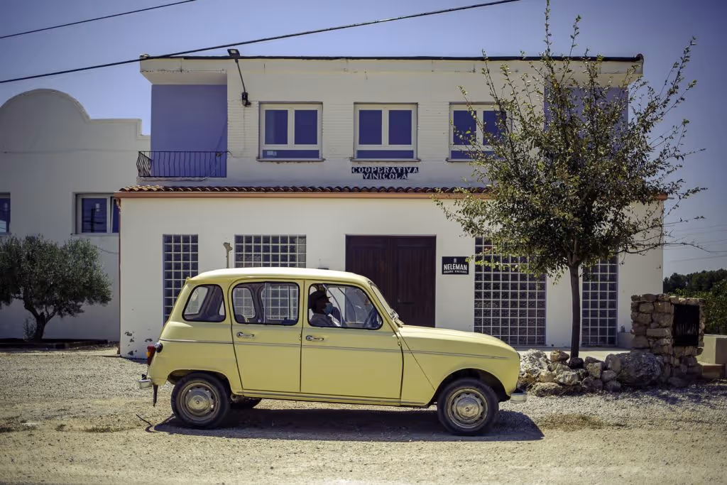 Hoog in de heuvel, ten noordwesten van het stedelijke Valencia, liggen de Spaanse wijnvelden van het Nederlandse Wijnhuis Neleman in een beschremd natuurgebied.