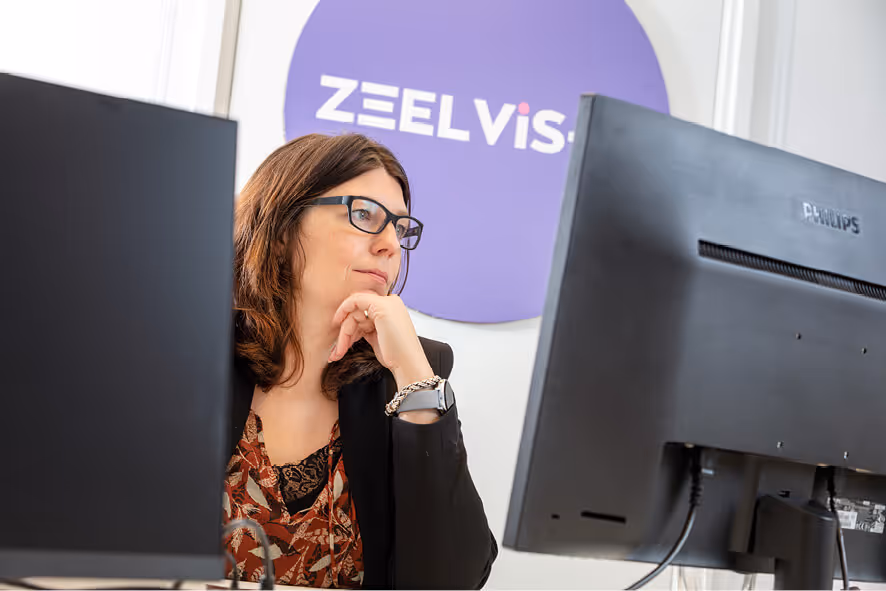 ZeelVis-It consultancy, projectmanagement en procesoptimalisatie