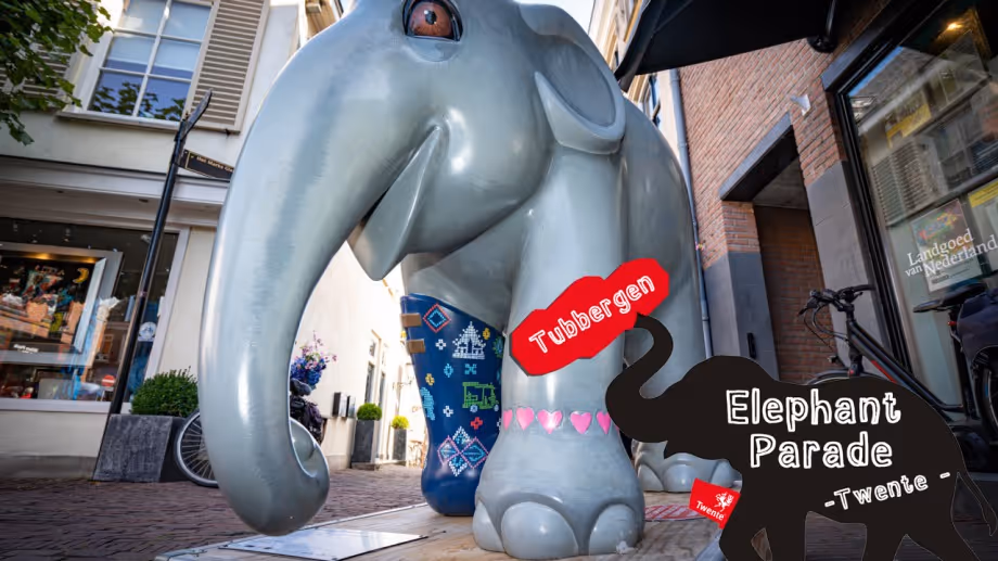 Elephant Parade Tubbergen