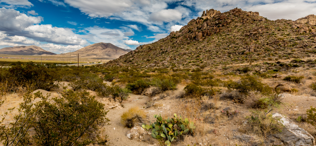 A rocky, west Texas ranch with prickly pear cactus