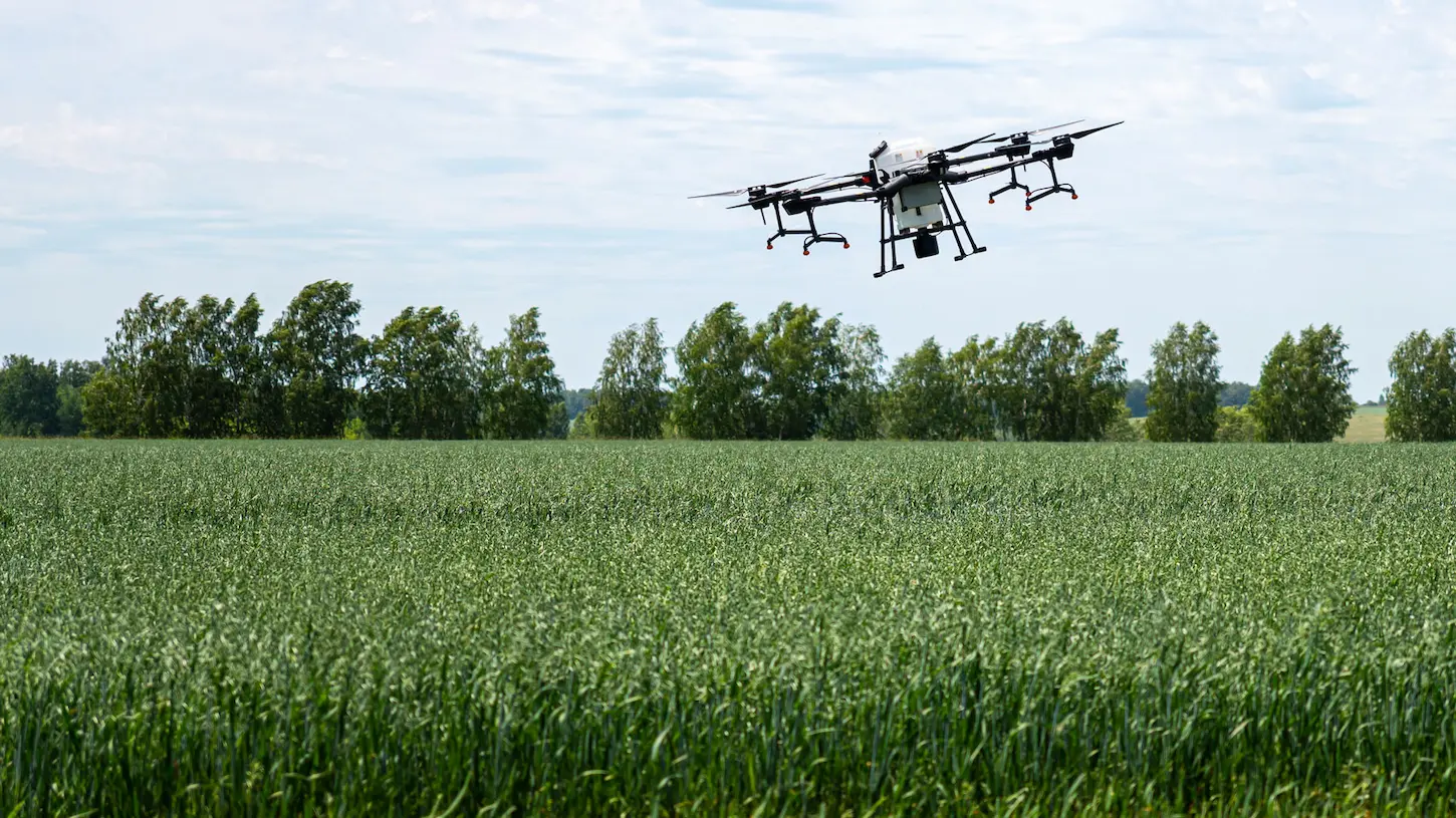Drone seeding cover crops