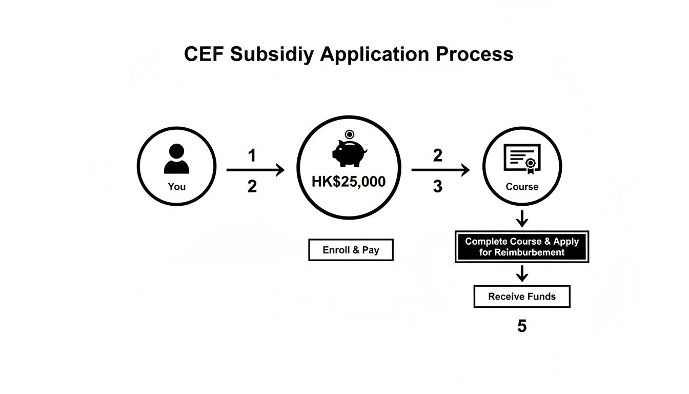 Flowchart illustrating the CEF Subsidy application process, showing steps from enrollment to fund reimbursement.
