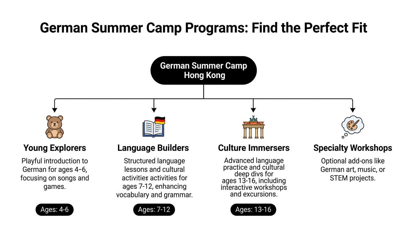 A flowchart detailing four different German summer camp programs for children and teenagers in Hong Kong.