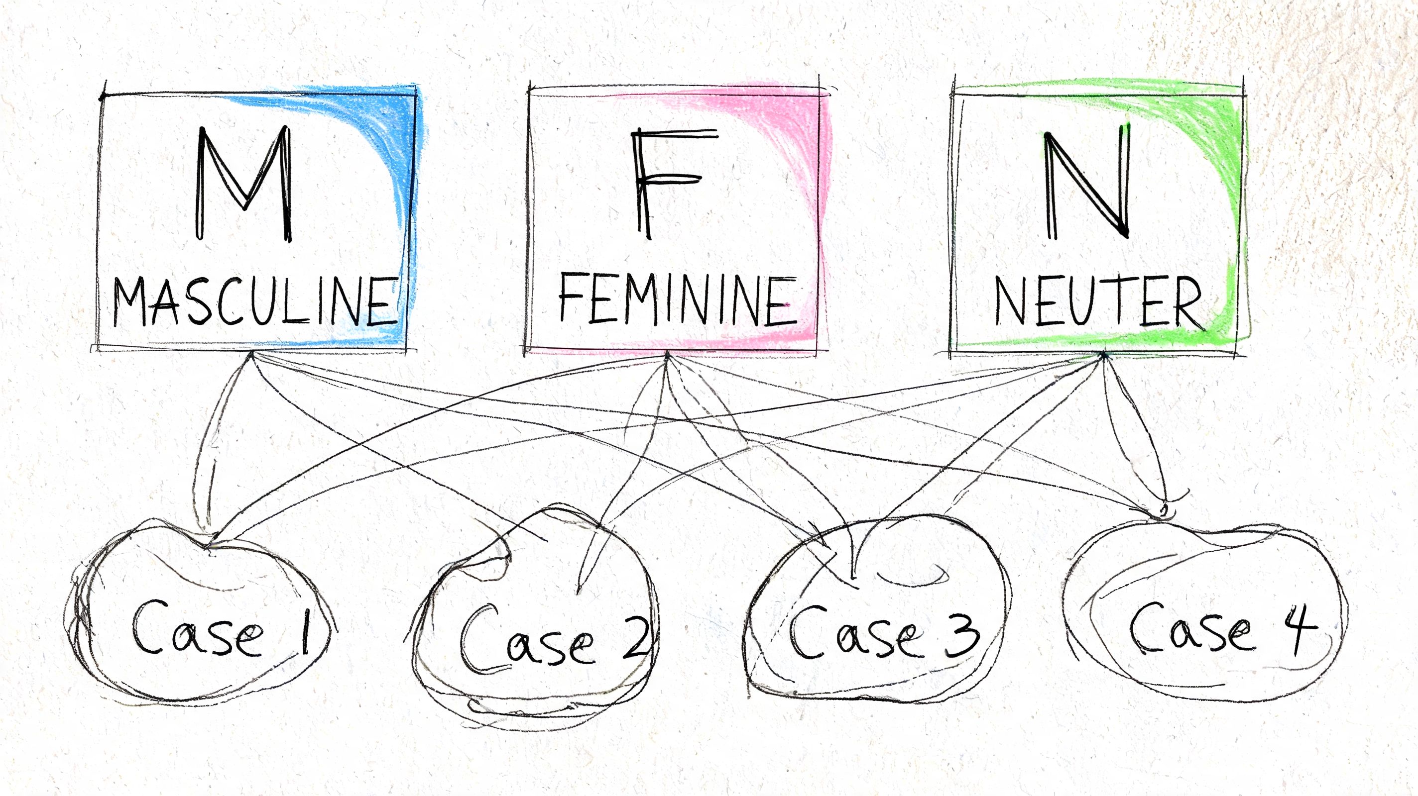 A hand-drawn diagram illustrating the relationship between gender categories and four distinct grammatical cases.