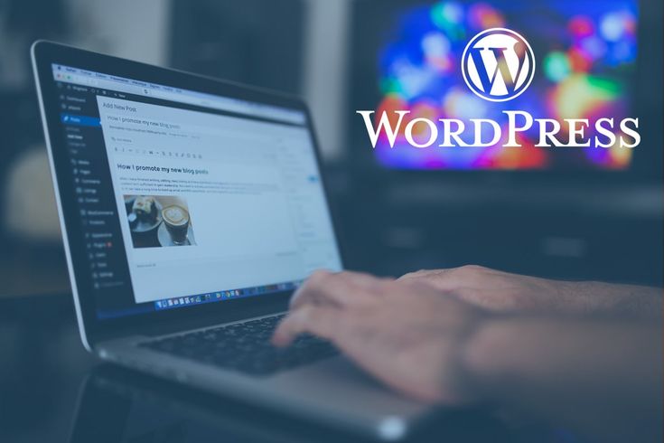 WordPress the fjorge way custom development