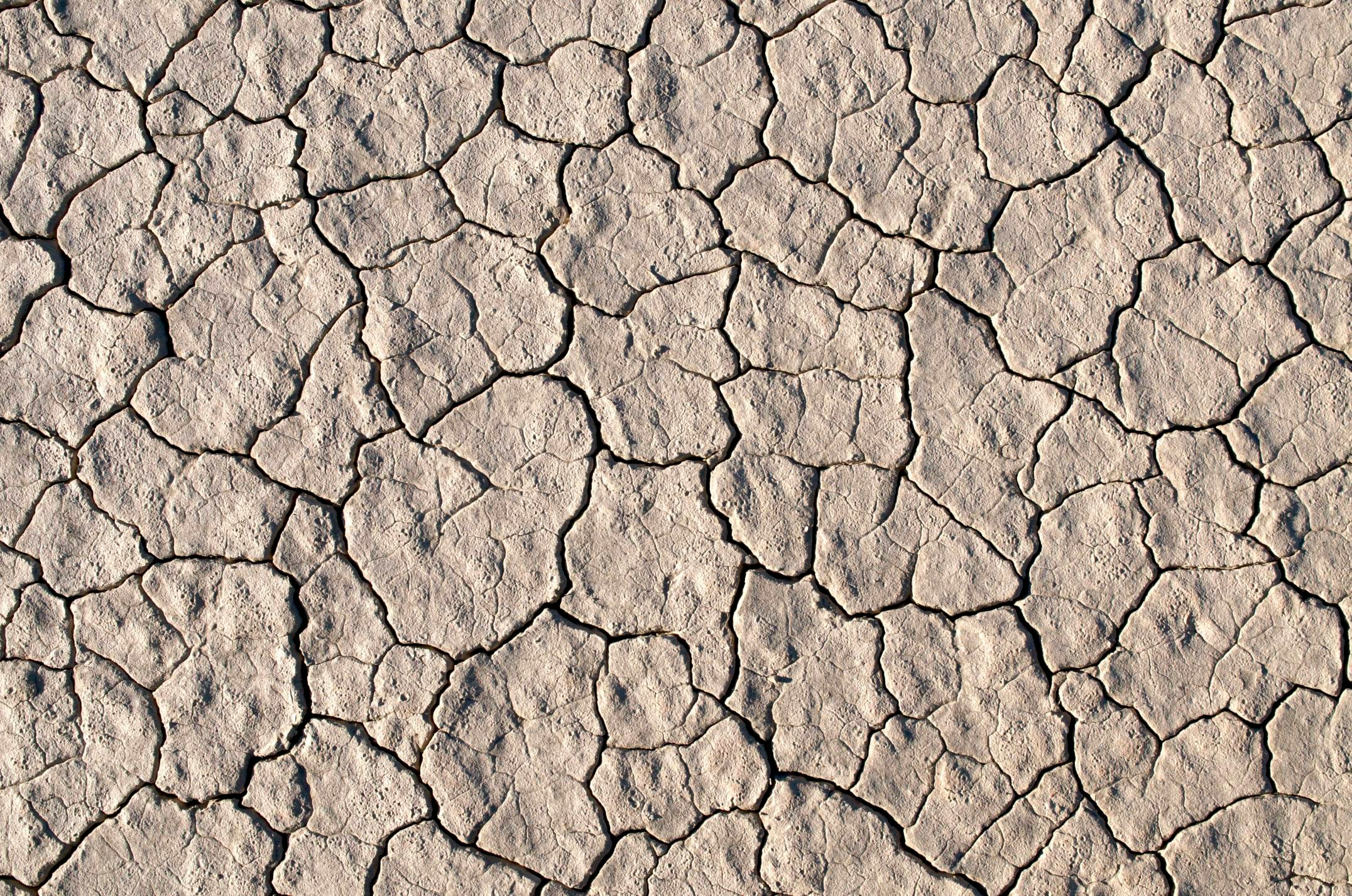 Cracks in the System What a Leaky Gut Really Means