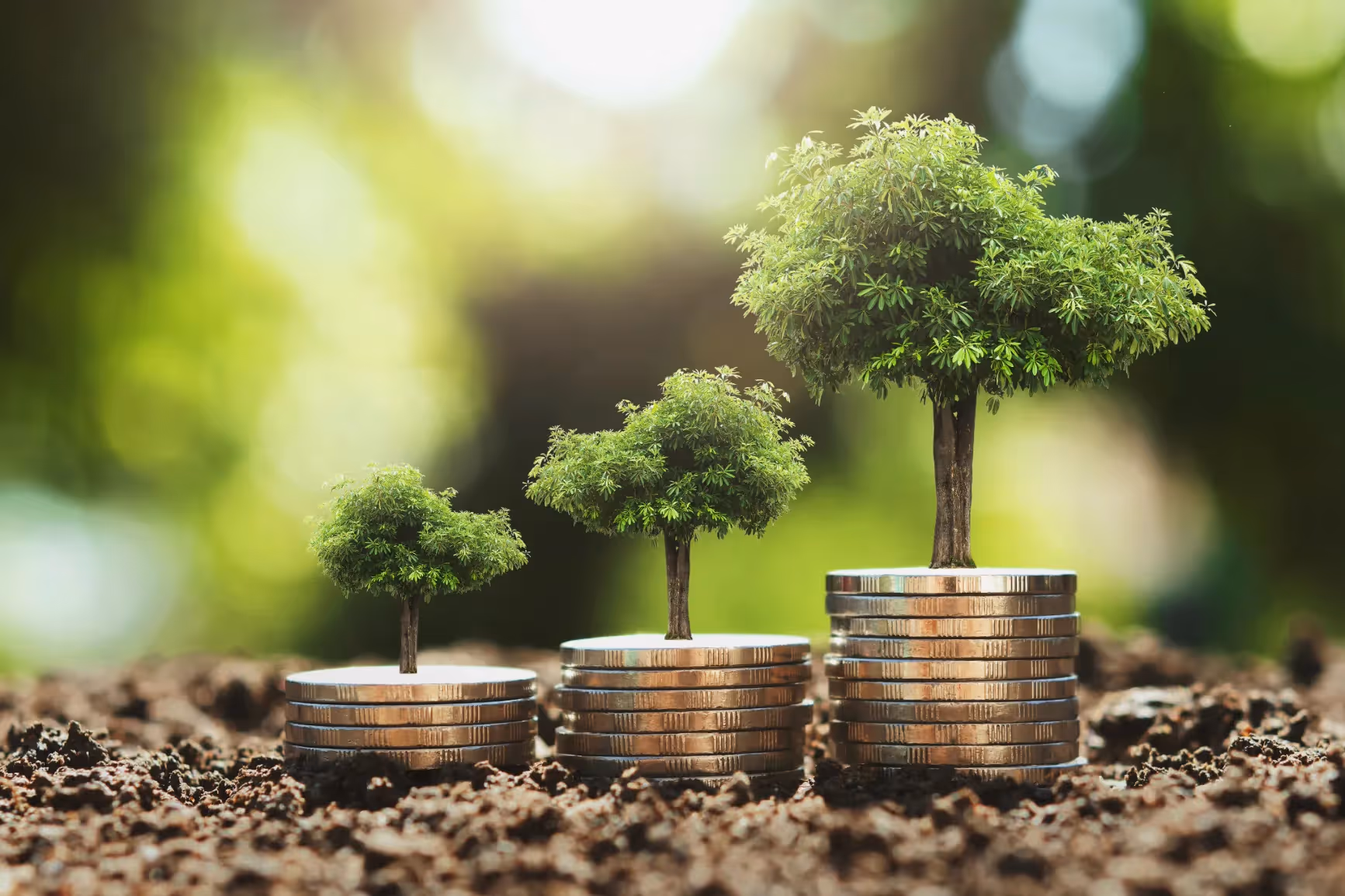Investor Money Market