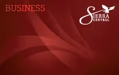Business VISA 