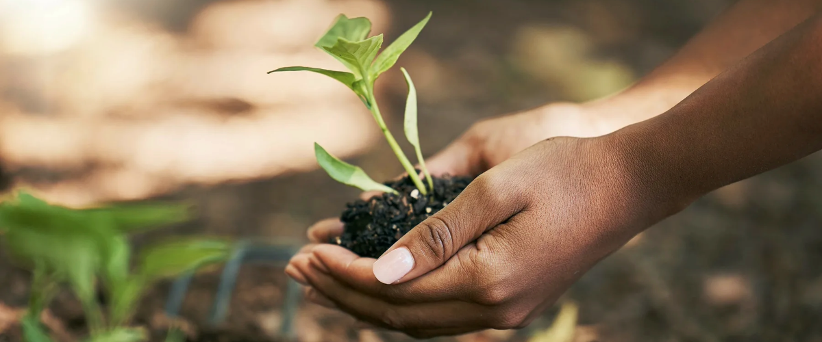 Government Shutdown & Disaster Relief