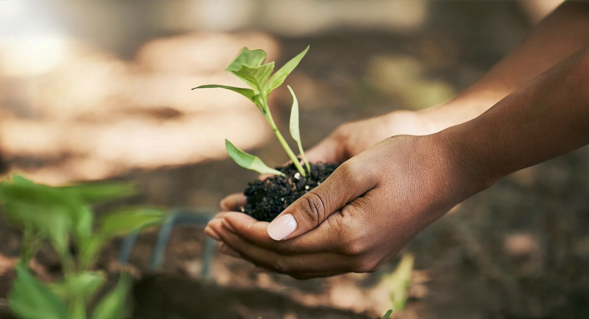 Government Shutdown & Disaster Relief