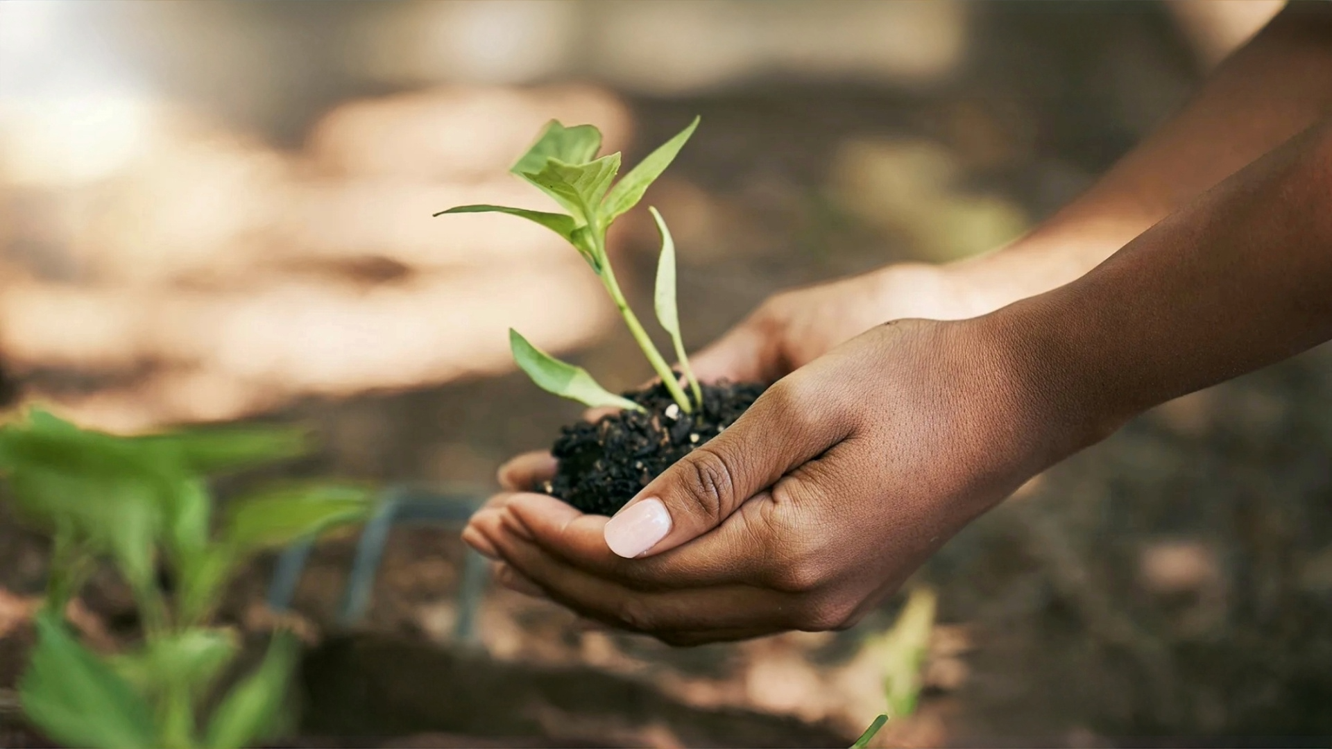 Government Shutdown & Disaster Relief