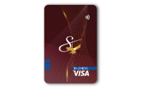 Business VISA 