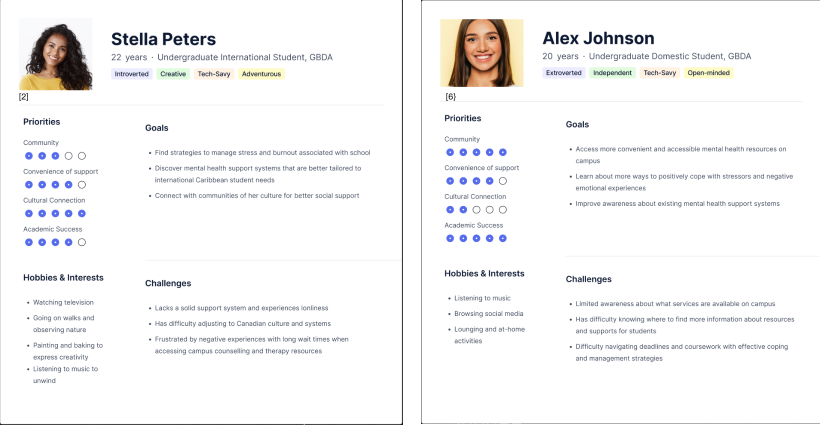 User personas of an undergraduate and domestic student
