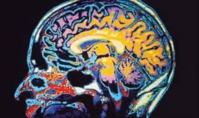 Brain damaged woman wins $16 million lawsuit in a slip and fall incident