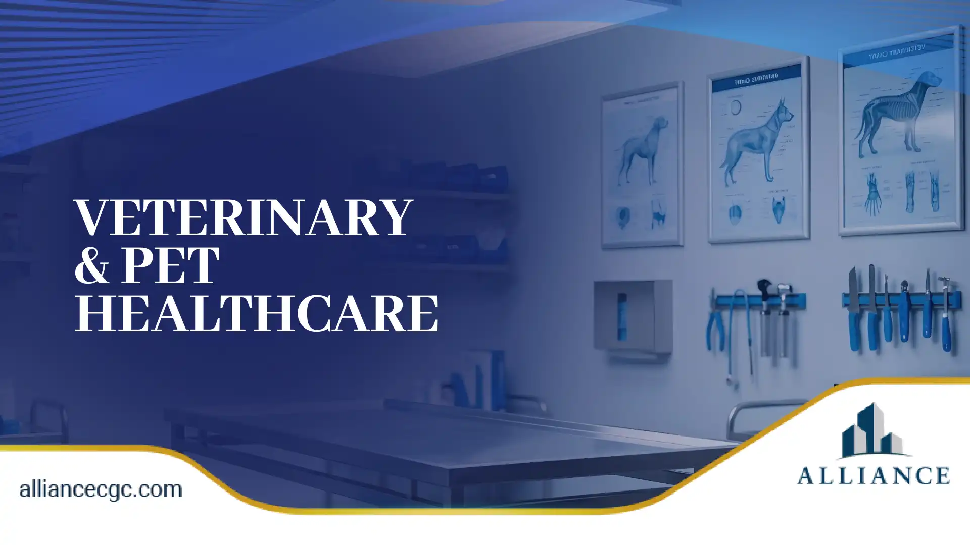 Blue veterinary clinic design with pet healthcare charts and modern medical layout.