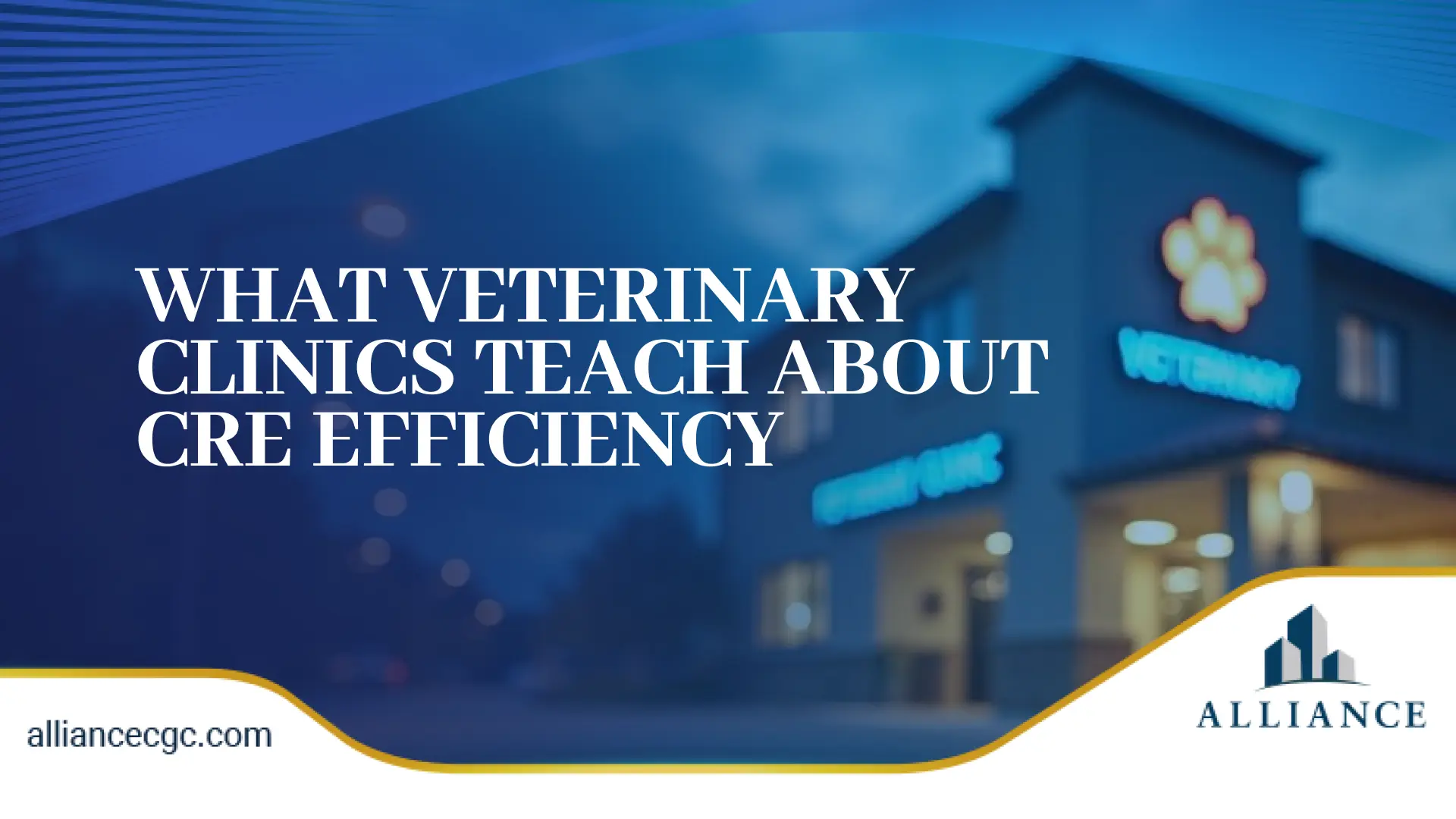  Modern veterinary clinic exterior at dusk with illuminated signage and entrance