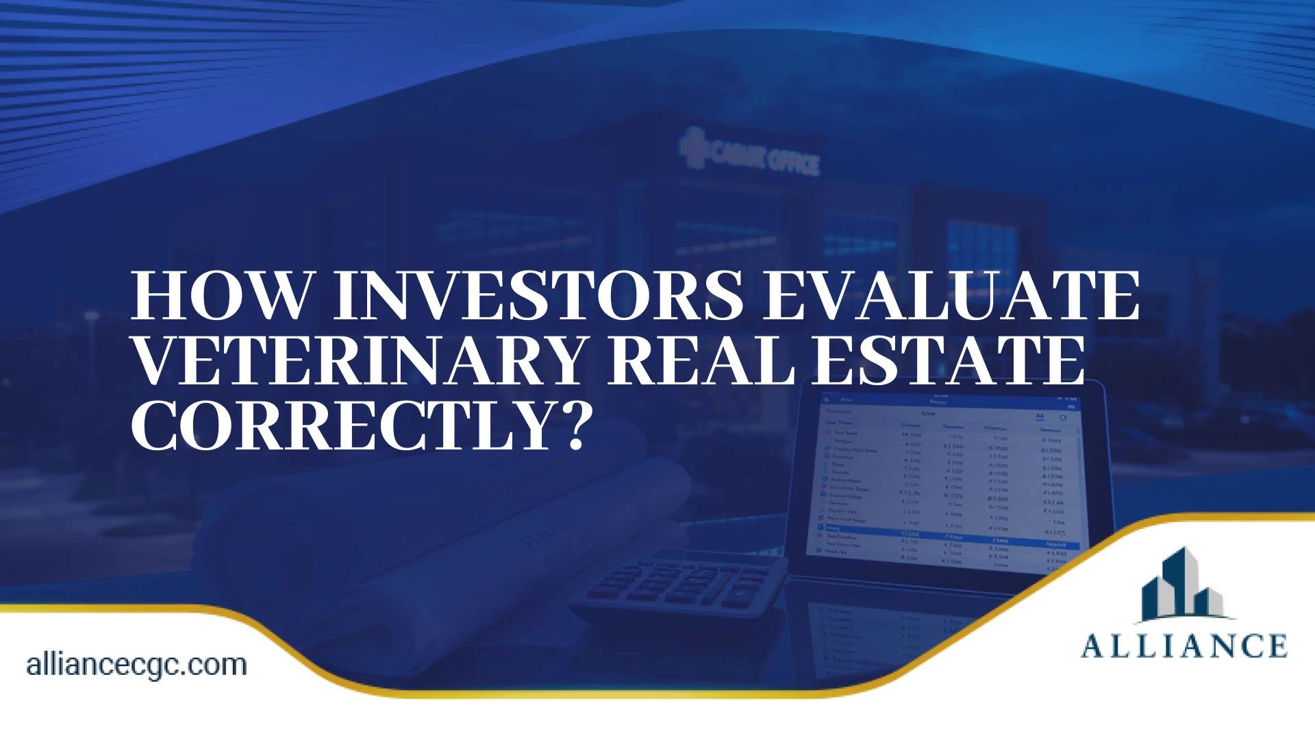 Investor evaluating veterinary real estate using financial documents and a laptop.