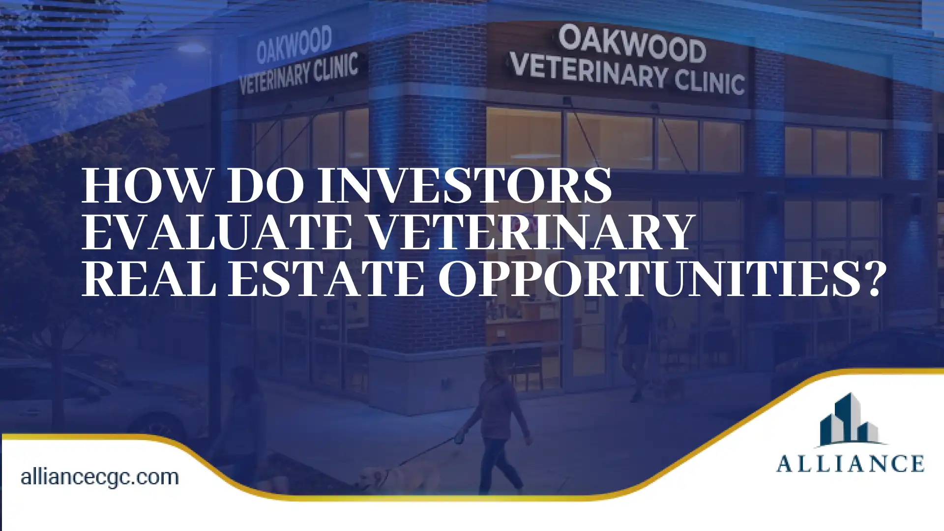 Uncover how top investors handle a smart veterinary clinic valuation.