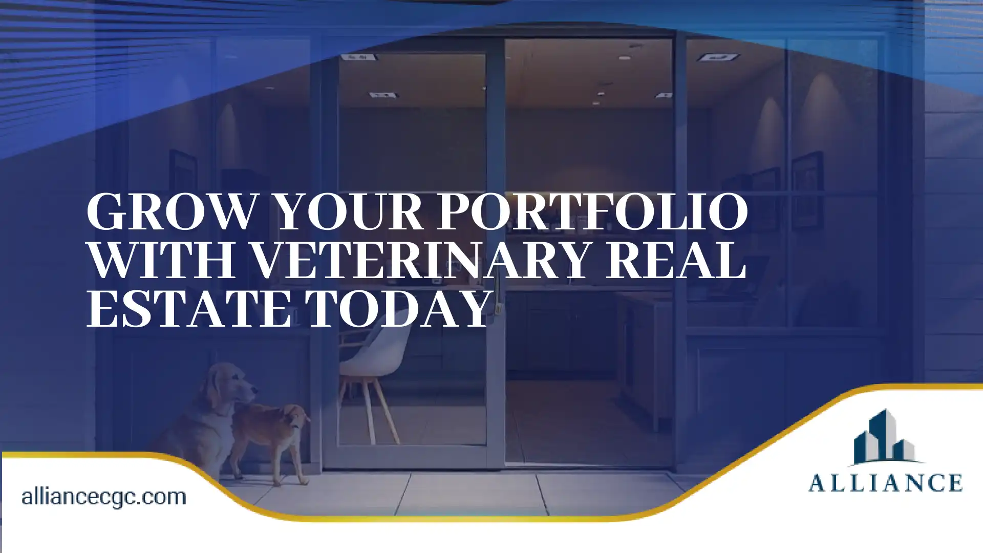 Scale your assets faster by partnering with a veterinary real estate broker.