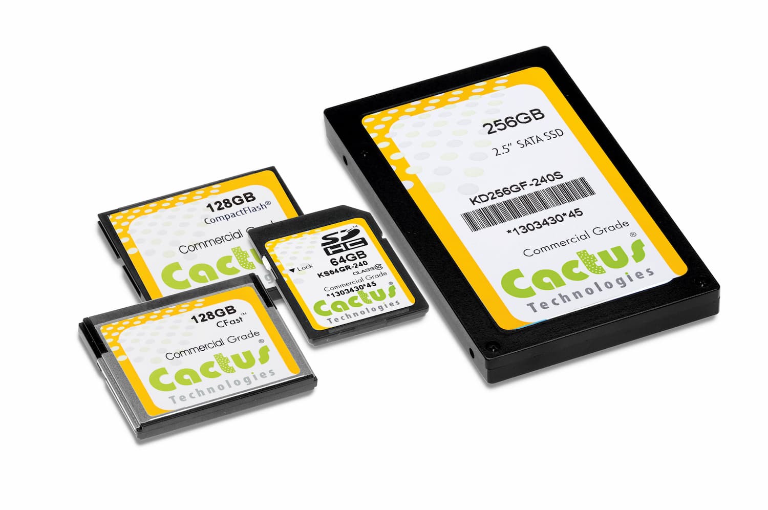 NAND Flash Storage by Cactus Technologies, different form factors: SD card, 2.5" SSD, CFast, Compact Flash