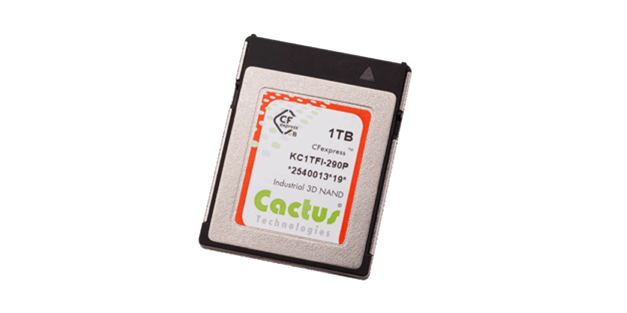 290P Series CFexpress Card