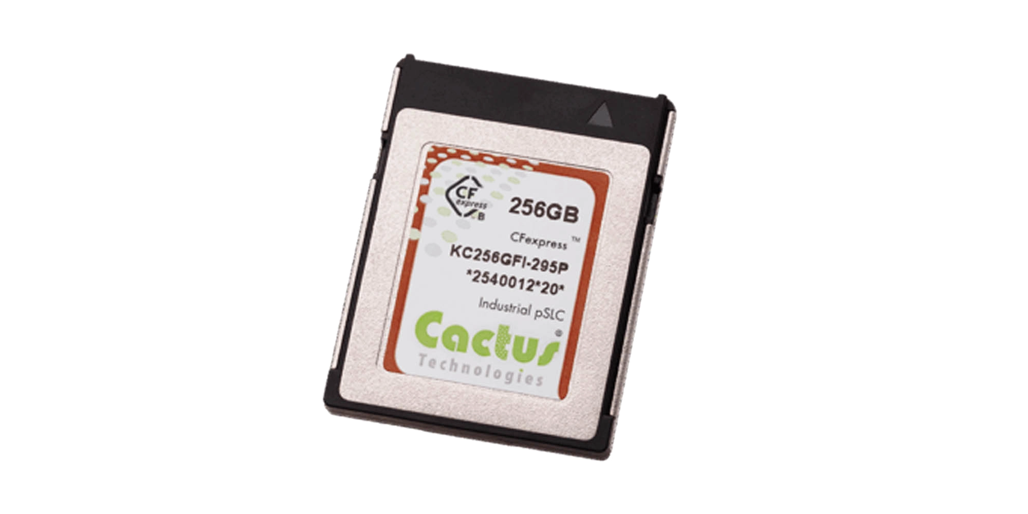 295P Series CFexpress Card