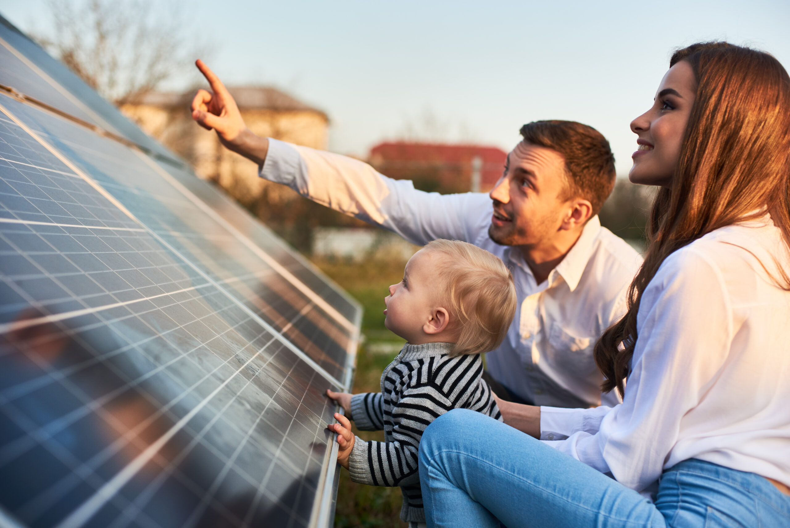 ZENITH ECO SOLUTIONS LTD