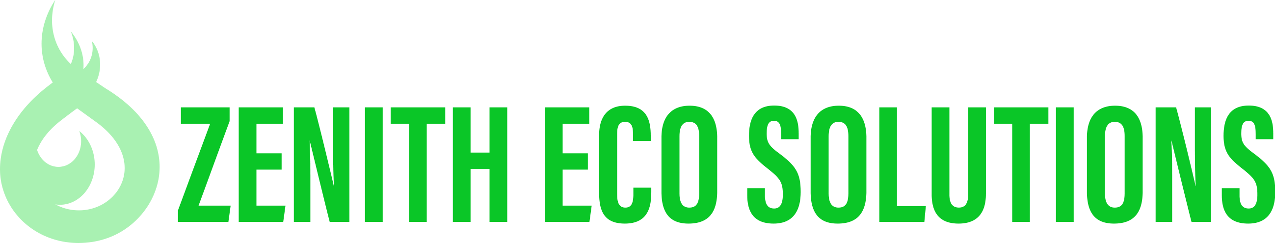 ZENITH ECO SOLUTIONS LTD
