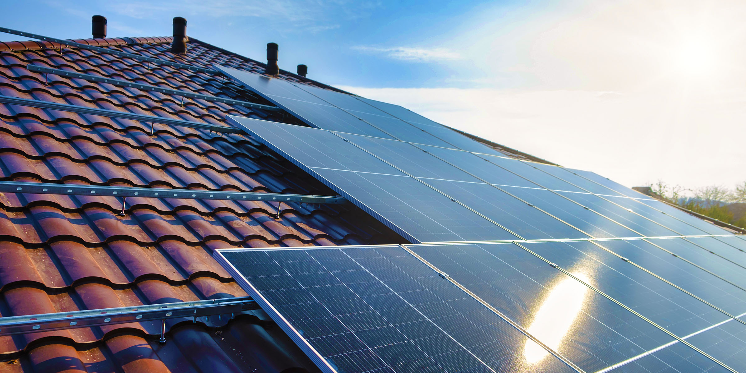 FREELEY RENEWABLES LTD