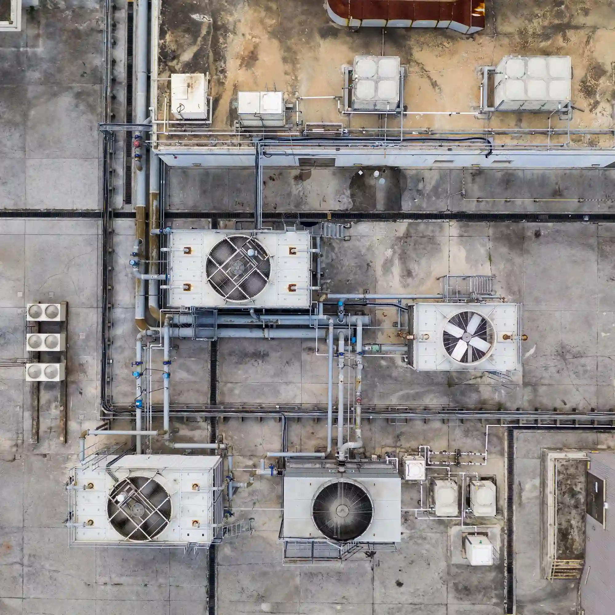 Women conducting cold chain management on a tablet.
