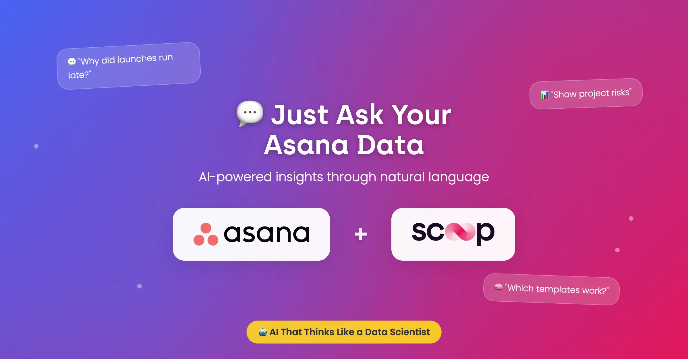 Unlocking Hidden Insights in Your Asana Data: What Teams Discovered