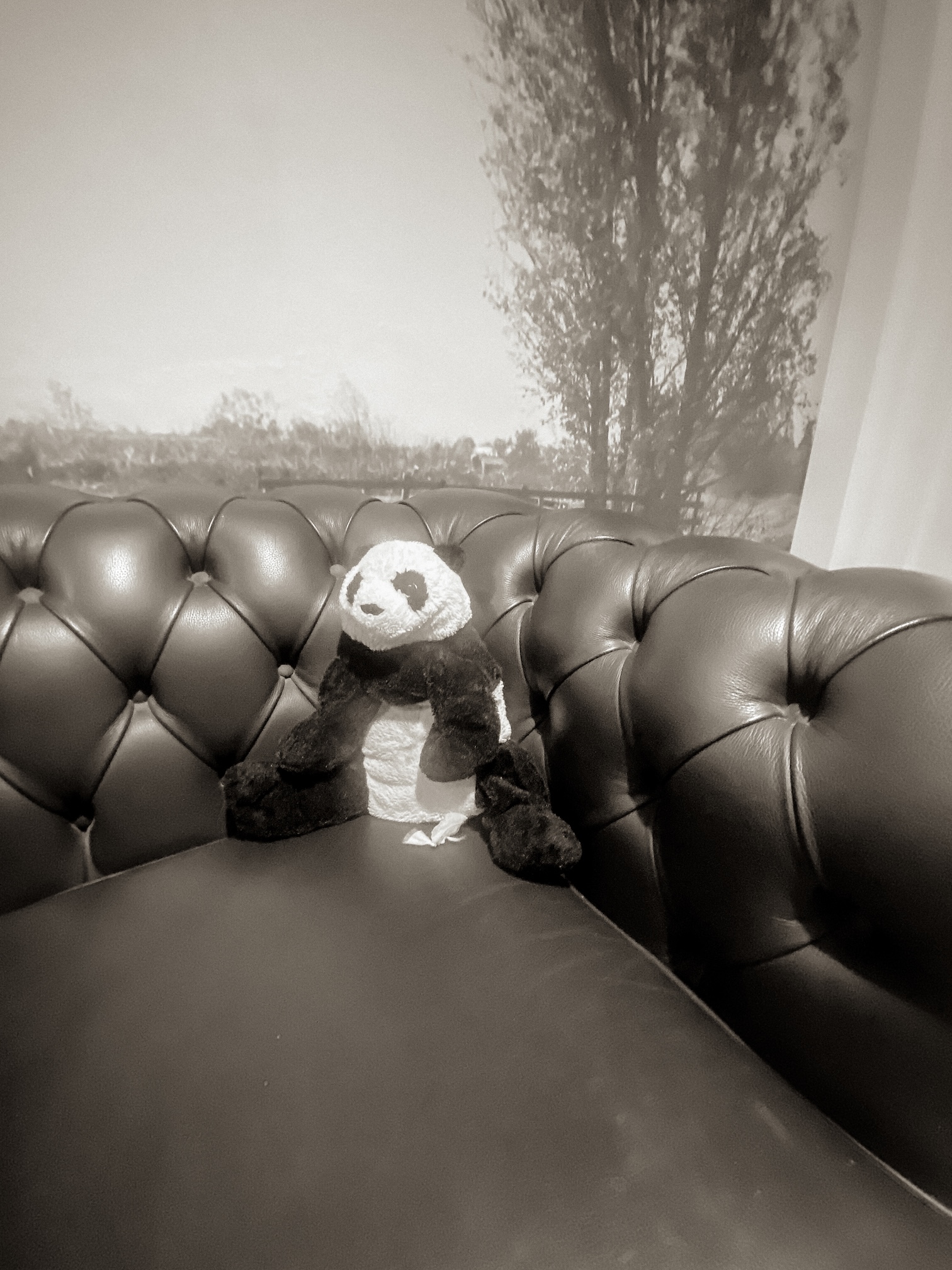 Een knuffelpanda, het favoriete knuffelbeest van een cliënt, op een leren bank in de gang van een psychogeriatrische afdeling