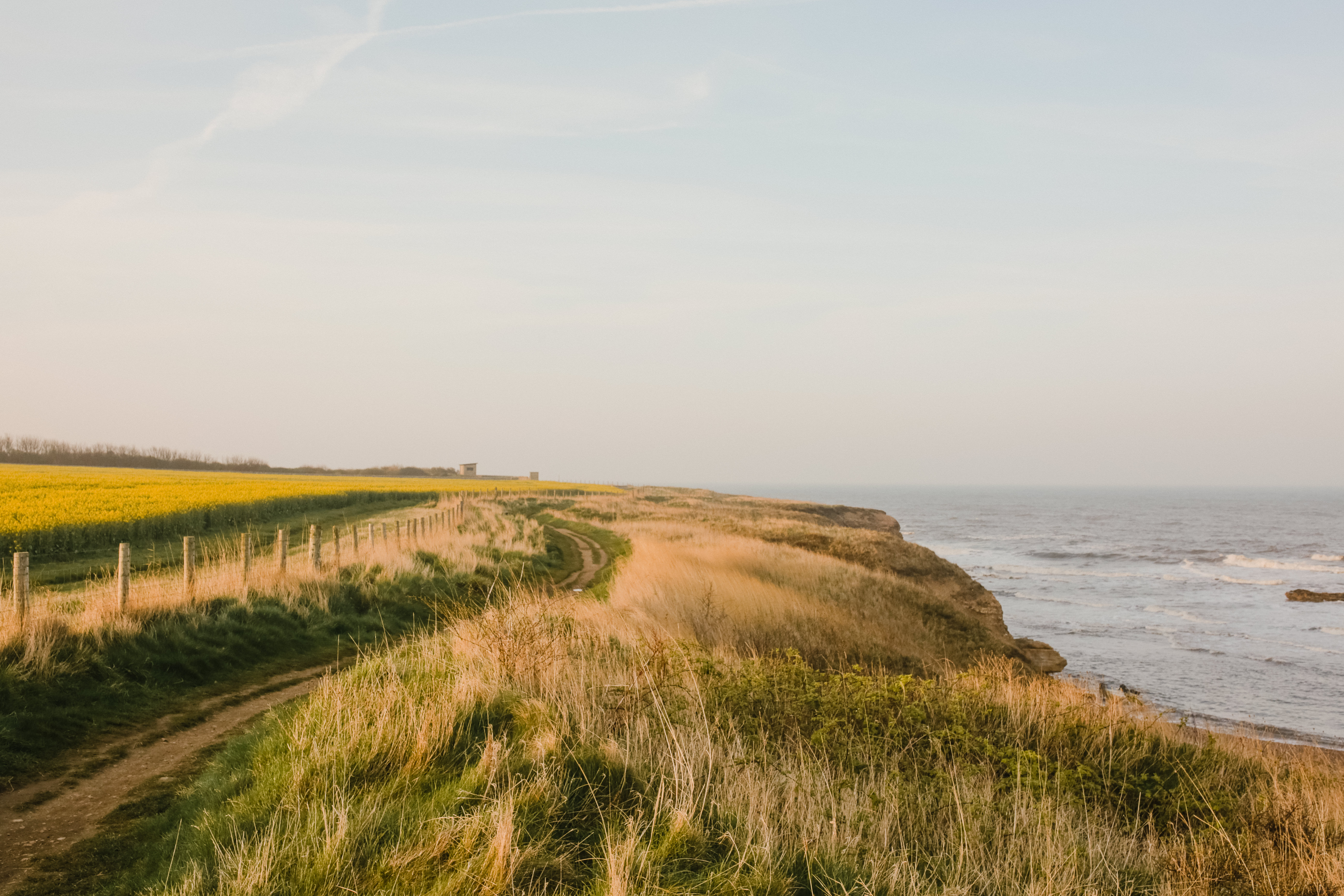 Coastal path in between field and seacliff
