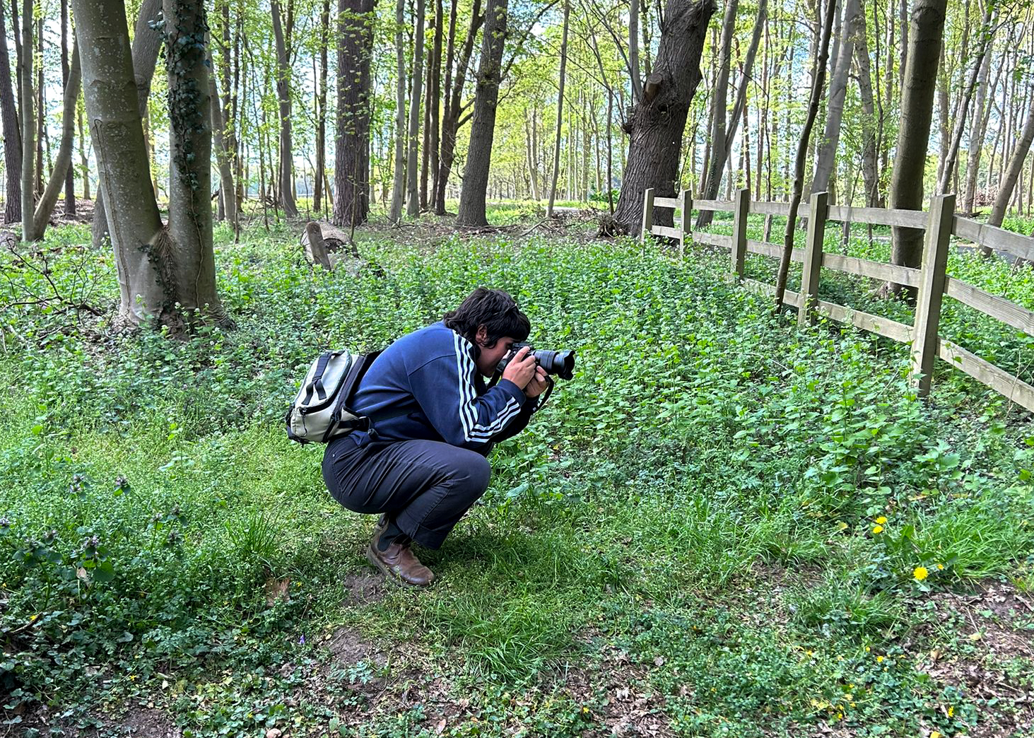 A person with light brown skin and a dark brown mullet squats in a shaded green woodland, facing a fence. They are wearing a deep blue jumper with white stripes down the sleeves, black jeans, and brown boots. A bag is slung across their body. They are holding a camera up to their face, looking through the viewfinder, lens pointed towards something out of shot. Sunlight comes through the trees behind, which have bright green leaves on their branches. The fence marks the southern end of Peddars Way and Norfolk Coast Path National Trail.