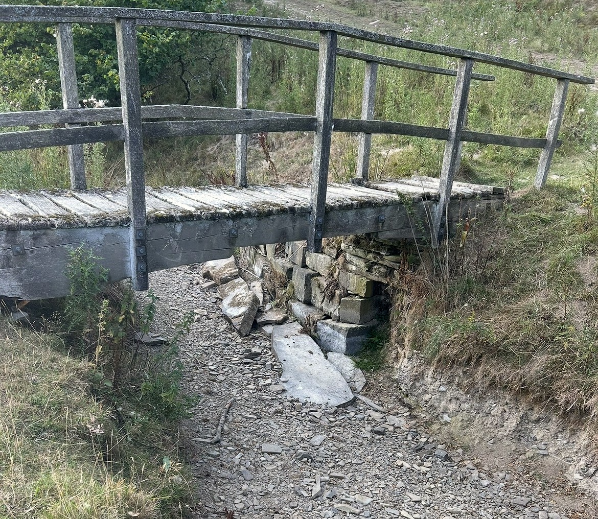 dry stream bed, wooden bridge