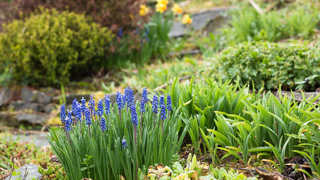 Flower Bed Maintenance by Doughboy's Lawn Care