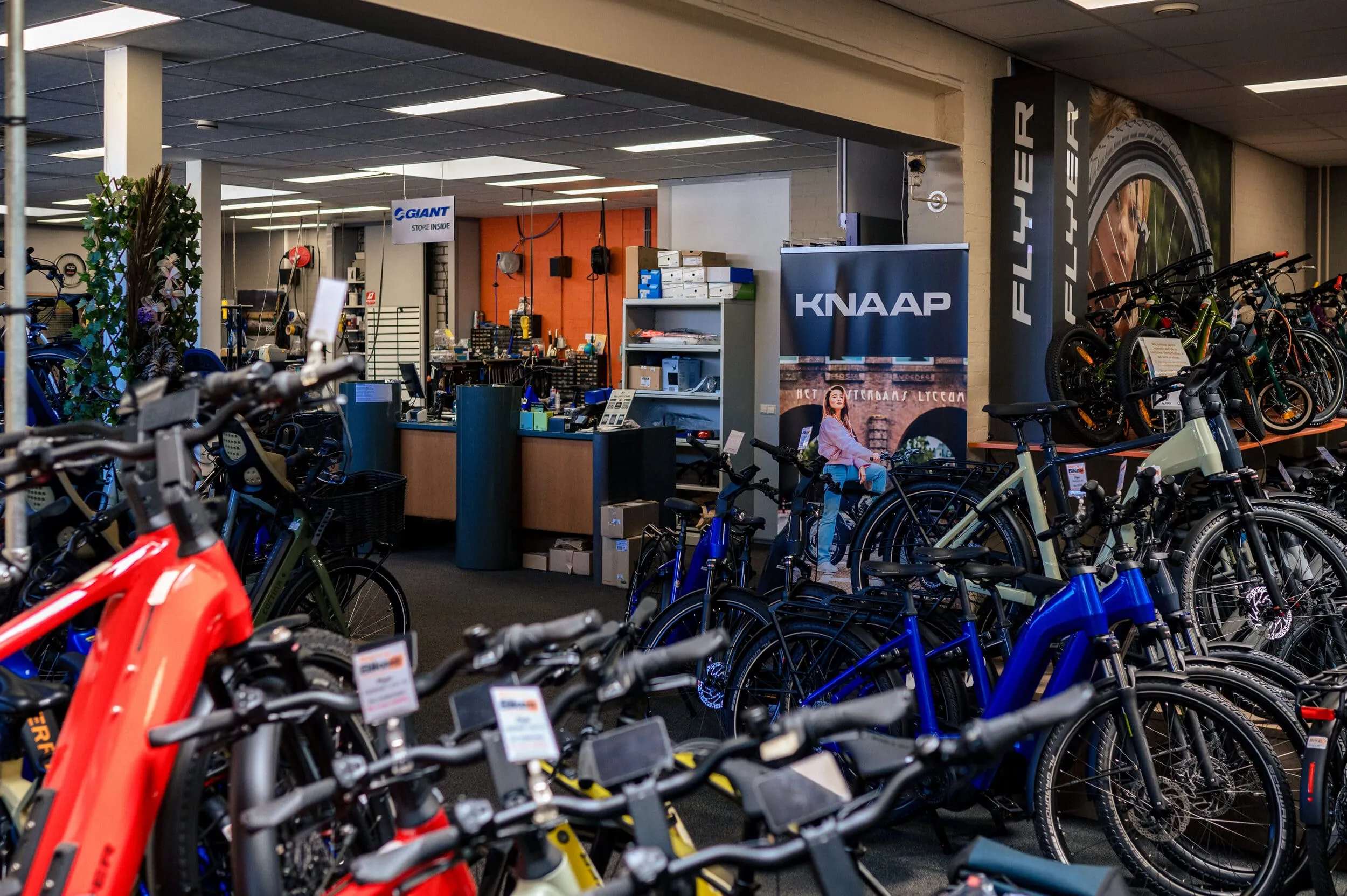 Overzicht van de fietsenwinkel Berry Bikes in Valkenswaard