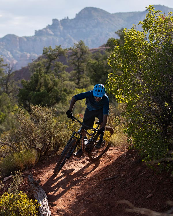 Giant Mountainbikes