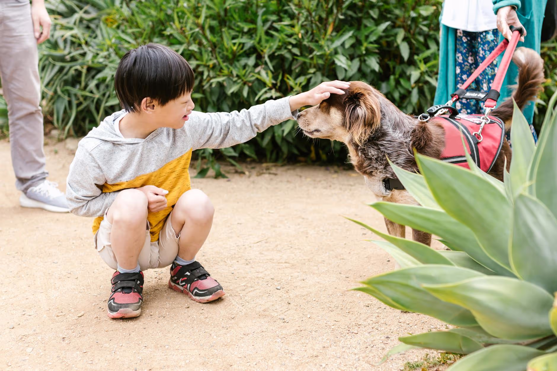 Autism Animal & Pet Therapy Explained