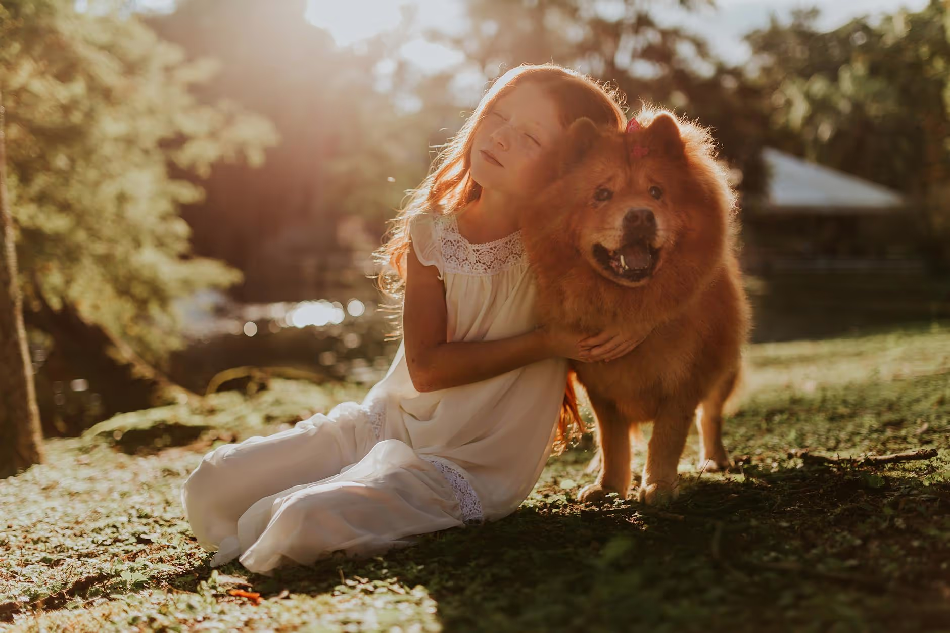Navigating Autism with Animal-Assisted Therapy