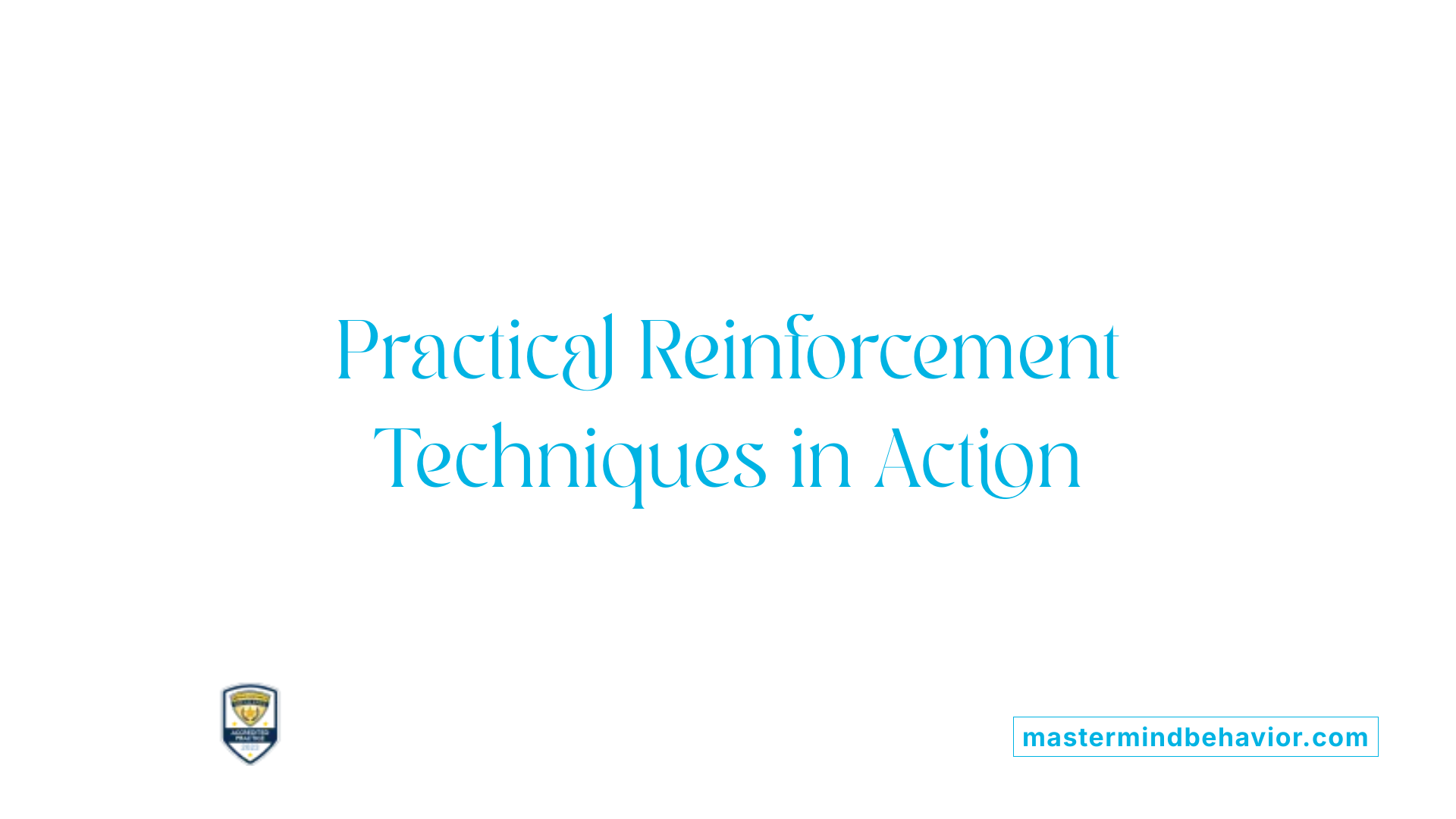 Practical Reinforcement Techniques in Action