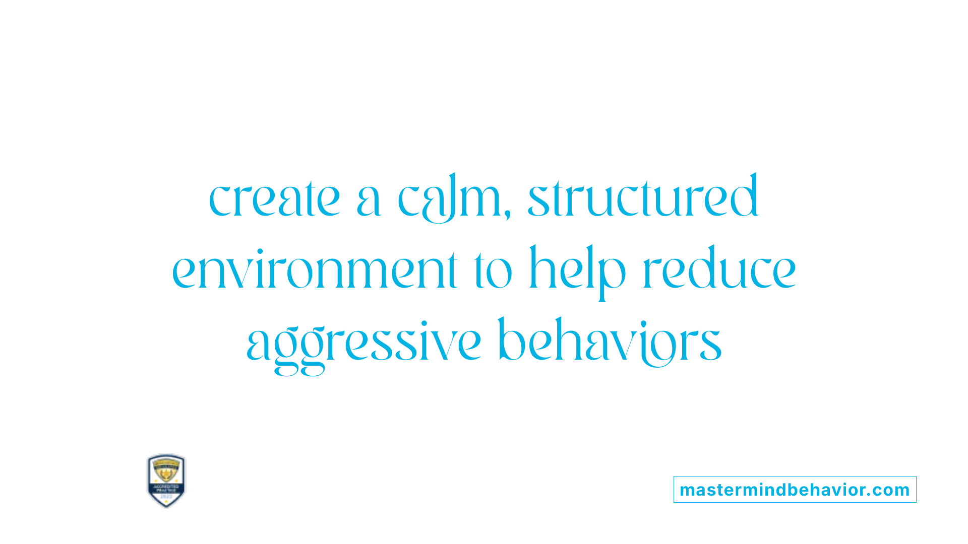  create a calm, structured environment to help reduce aggressive behaviors 