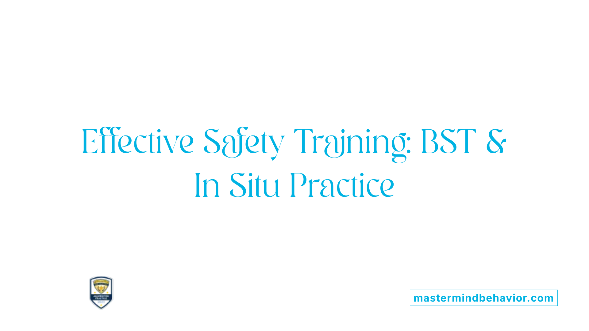 Effective Safety Training: BST &amp; In Situ Practice