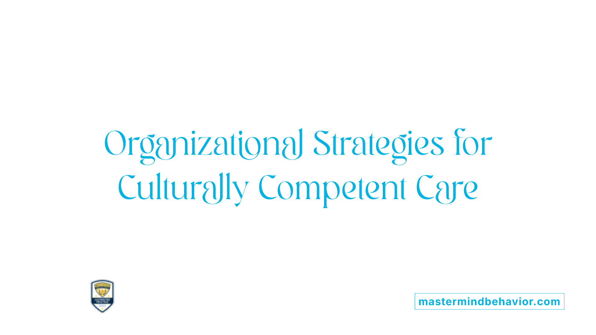 Organizational Strategies for Culturally Competent Care