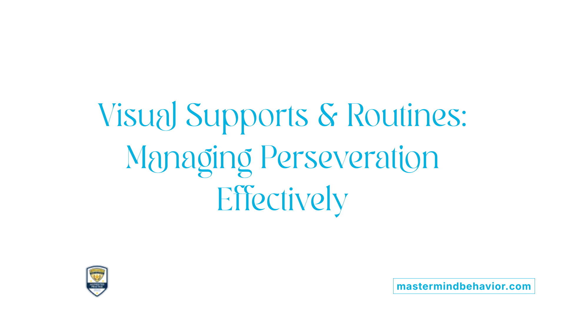 Visual Supports &amp; Routines: Managing Perseveration Effectively