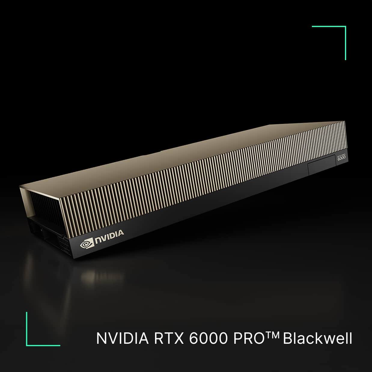 NVIDIA RTX 6000 PRO Blackwell