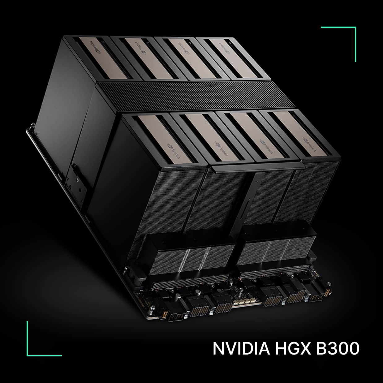 NVIDIA HGX B300