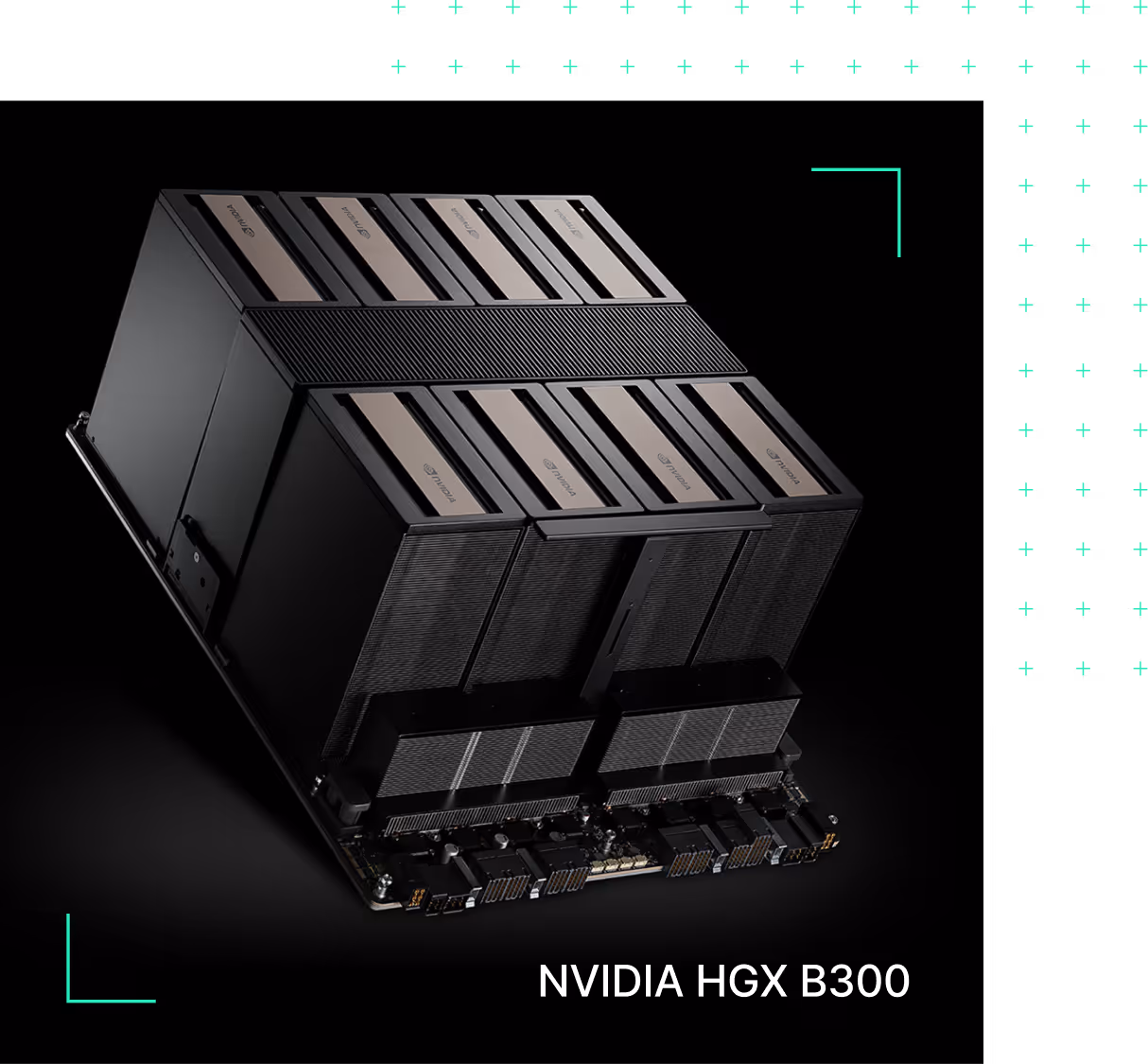 NVIDIA HGX B300